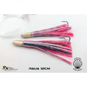 Tándem de Dos pulpitos Paua de 12cm de Nácar auténtico color Plata