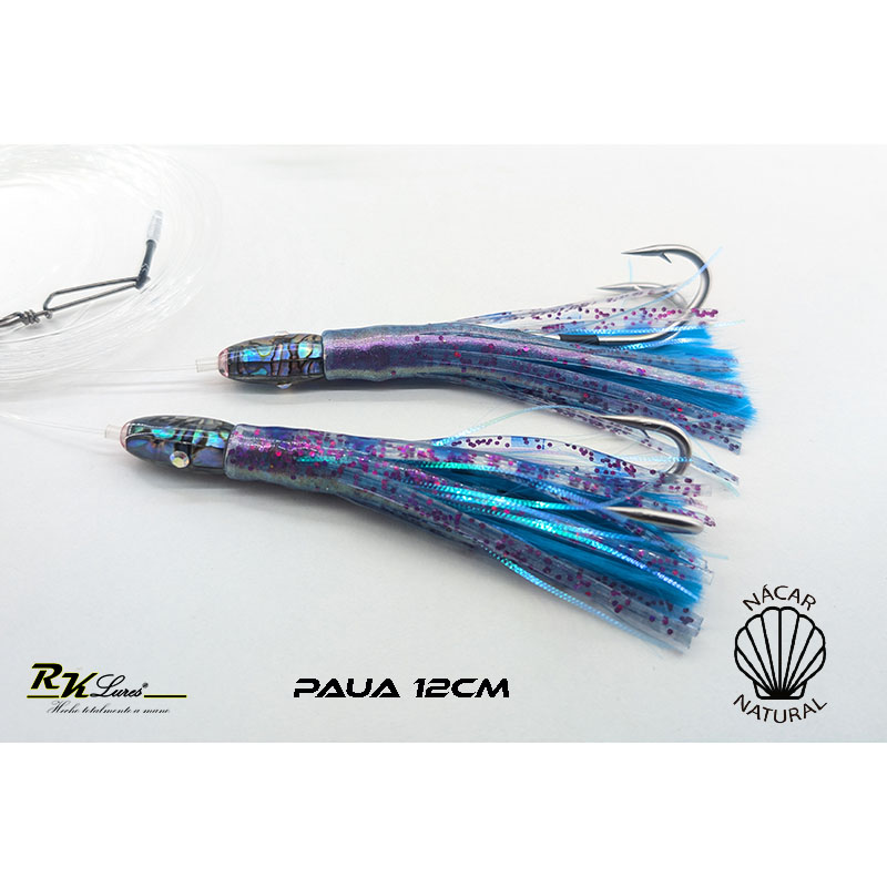 Tándem de Dos pulpitos Paua de 12cm de nácar auténtico color Medusa - Imagen 2