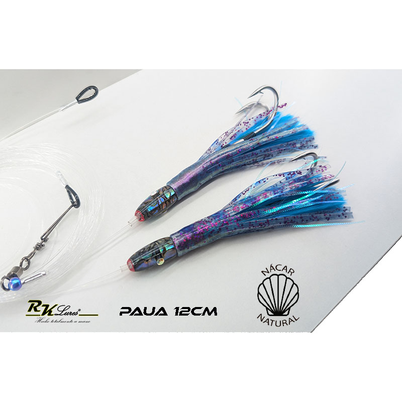 Tándem de Dos pulpitos Paua de 12cm de nácar auténtico color Medusa - Imagen 3
