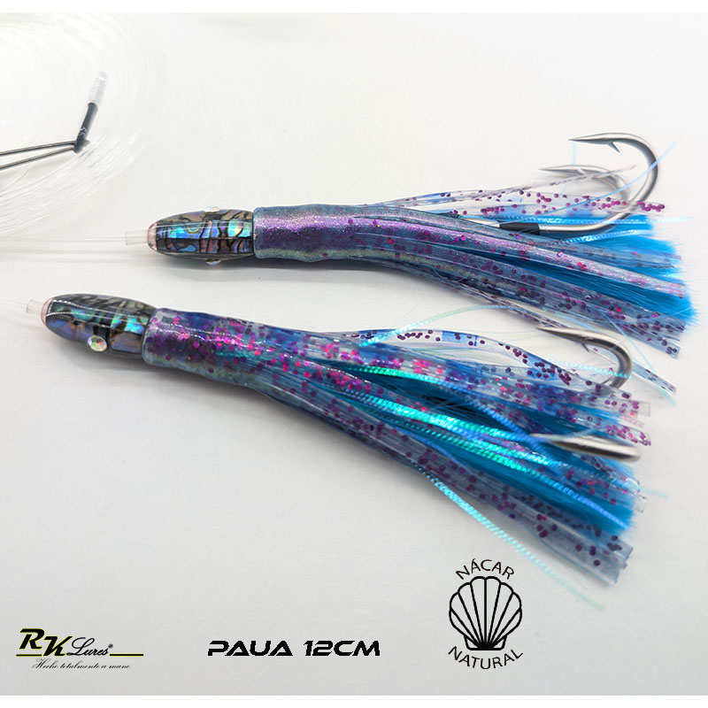 Tándem de Dos pulpitos Paua de 12cm de nácar auténtico color Medusa