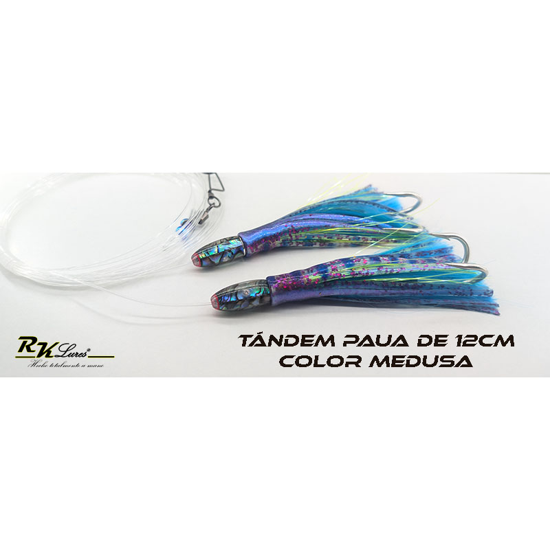 Tándem de Dos pulpitos Paua de 12cm de Abalón auténtico color Medusa - Imagen 2