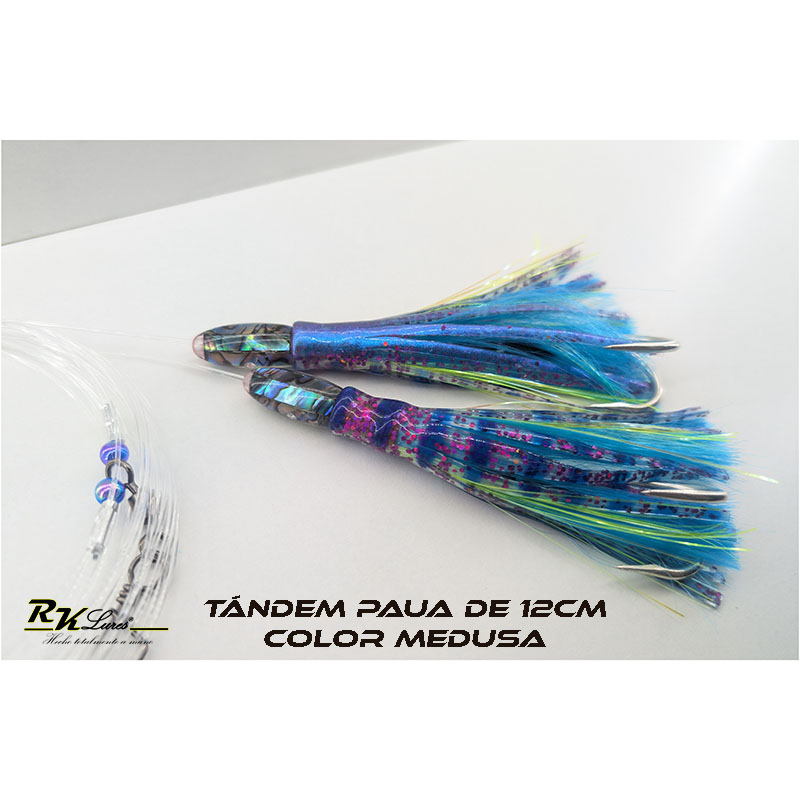 Tándem de Dos pulpitos Paua de 12cm de Abalón auténtico color Medusa - Imagen 3