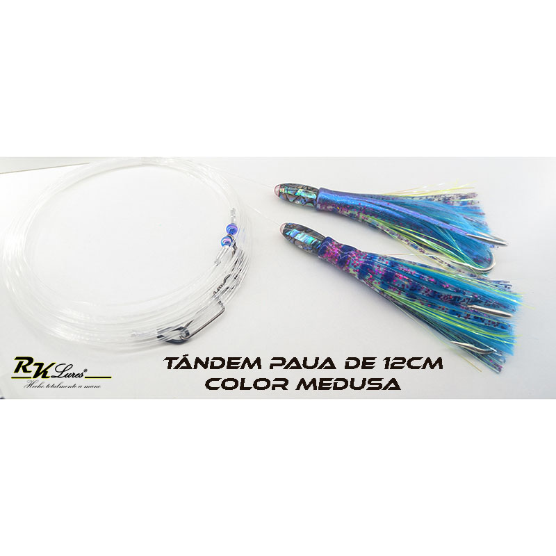 Tándem de Dos pulpitos Paua de 12cm de Abalón auténtico color Medusa - Imagen 4