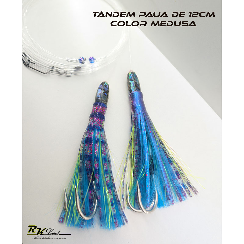 Tándem de Dos pulpitos Paua de 12cm de Abalón auténtico color Medusa - Imagen 5