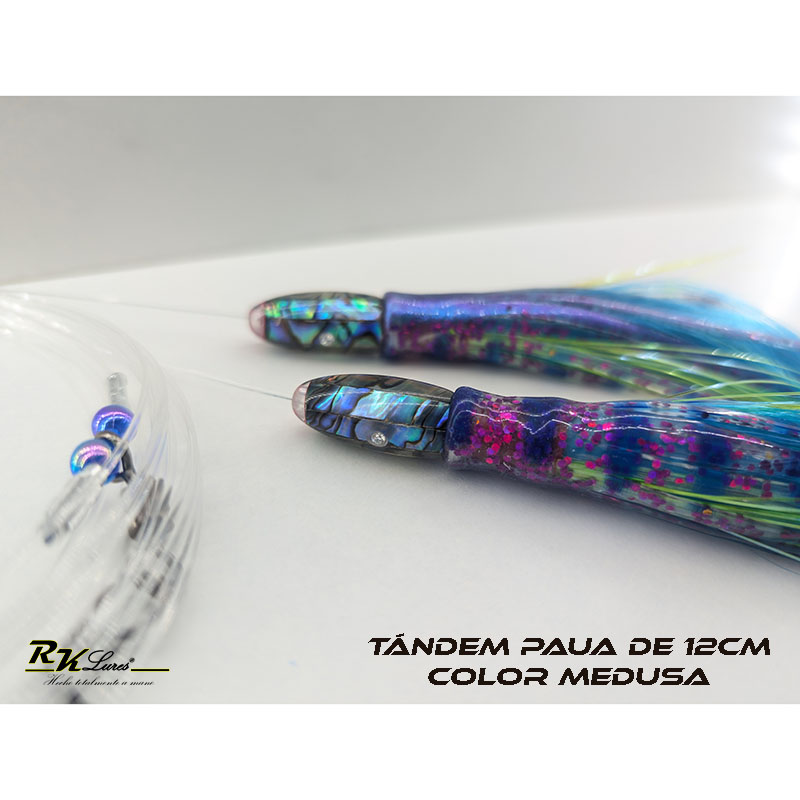 Tándem de Dos pulpitos Paua de 12cm de Abalón auténtico color Medusa - Imagen 6