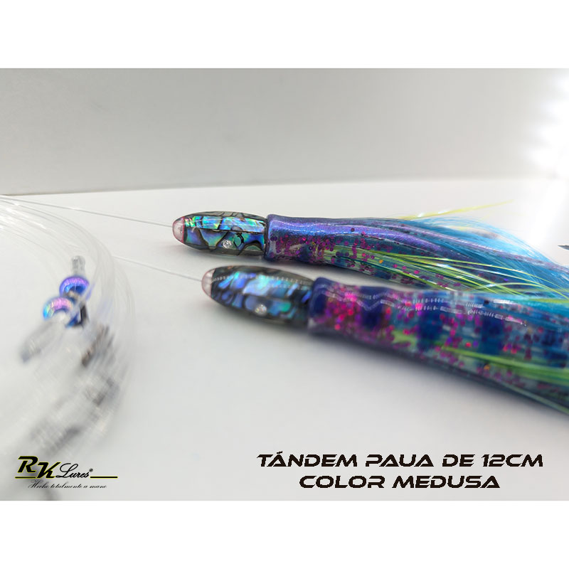 Tándem de Dos pulpitos Paua de 12cm de Abalón auténtico color Medusa - Imagen 7