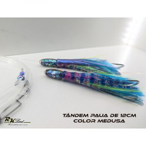 Tándem de Dos pulpitos Paua de 12cm de Abalón auténtico color Medusa