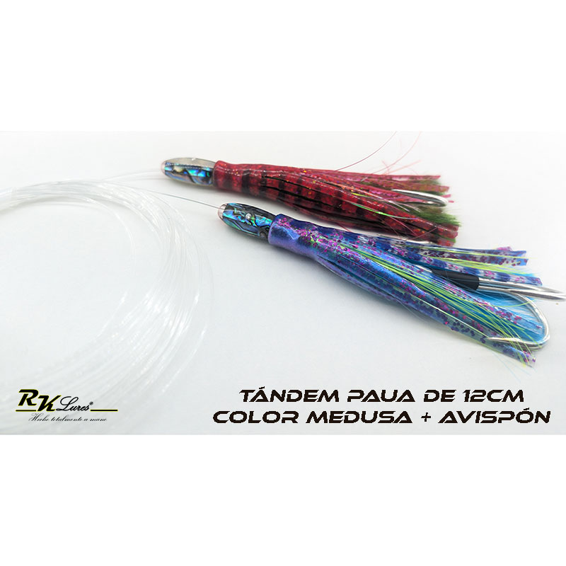 Tándem de Dos pulpitos Paua de 12cm de Nácar auténtico color Medusa y Avispón - Imagen 3