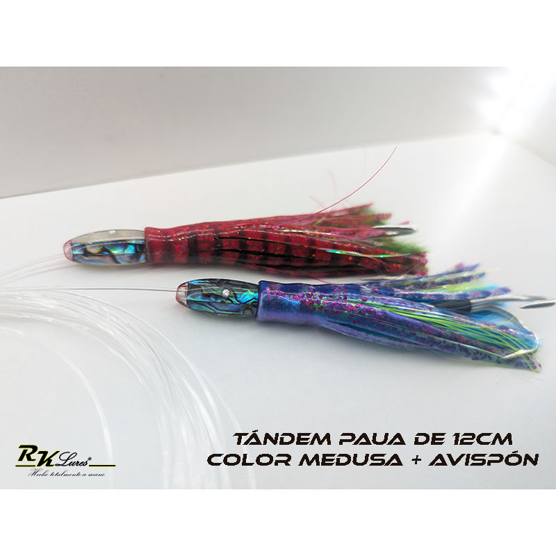 Tándem de Dos pulpitos Paua de 12cm de Nácar auténtico color Medusa y Avispón