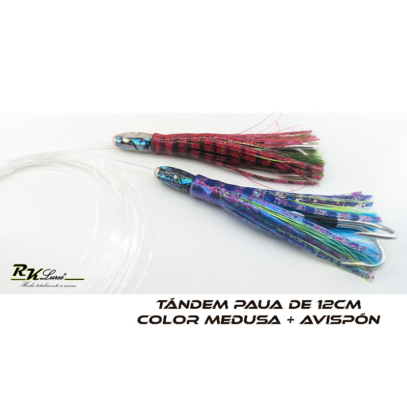 Tándem de Dos pulpitos Paua de 12cm de Nácar auténtico color Medusa y Avispón - Imagen 4