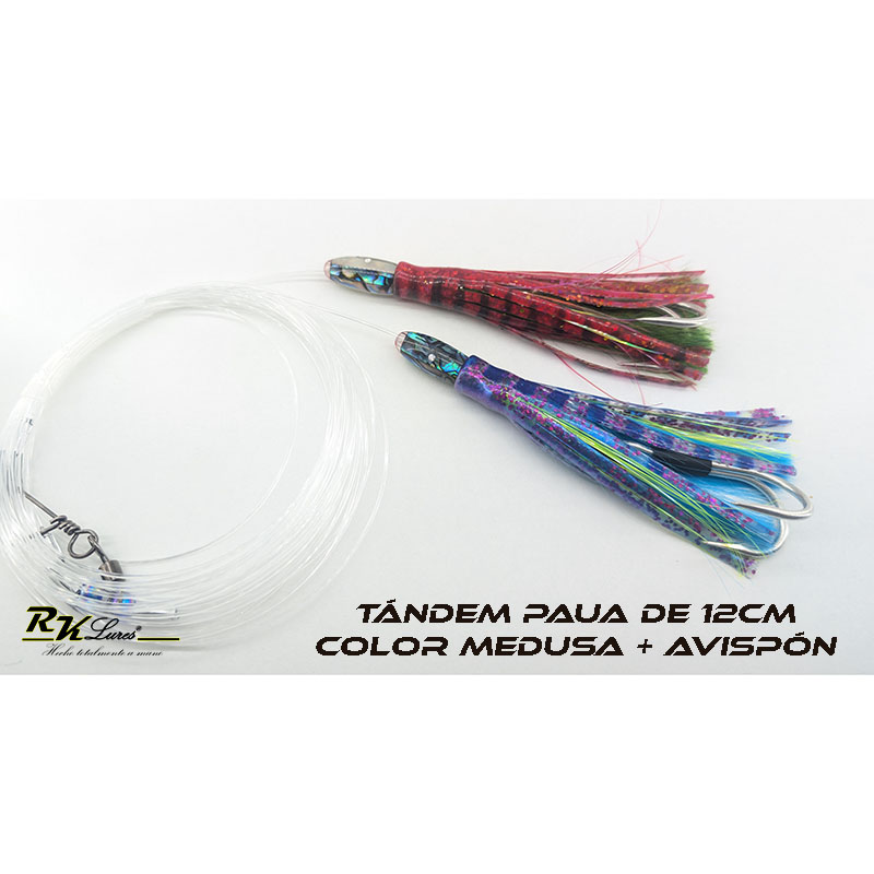 Tándem de Dos pulpitos Paua de 12cm de Nácar auténtico color Medusa y Avispón - Imagen 5