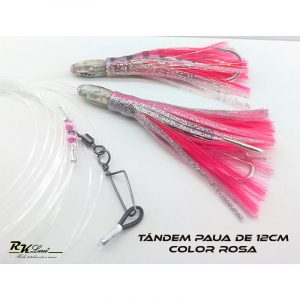 Tándem de Dos pulpitos Paua de 12cm de Nácar auténtico color Plata