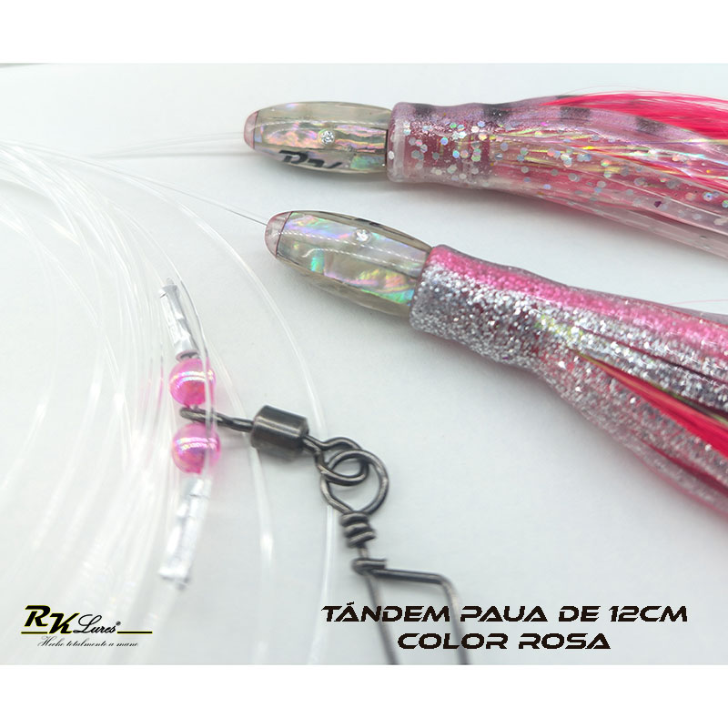 Tándem de Dos pulpitos Paua de 12cm de Nácar auténtico color Plata - Imagen 4