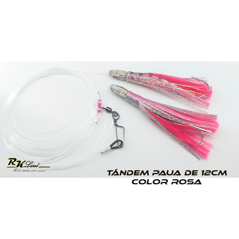 Tándem de Dos pulpitos Paua de 12cm de Nácar auténtico color Plata - Imagen 5